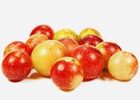 Camu Camu Extrakt